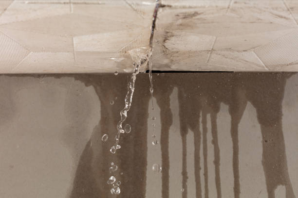 Professional Structural Drying technician working in Ostrander, MN